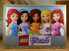 LEGO® Friends