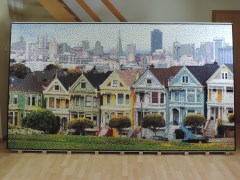 Painted Ladies